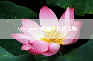 荆门中国十九枚金牌