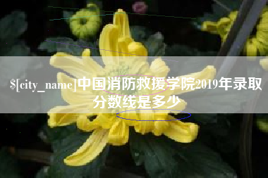 荆门中国消防救援学院2019年录取分数线是多少