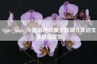 荆门中国消防救援学院简介及招生章程指挥部