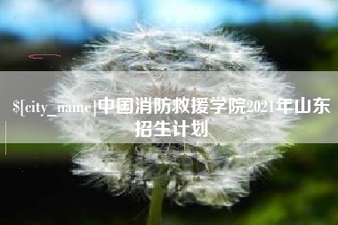 荆门中国消防救援学院2021年山东招生计划