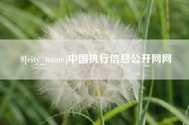 荆门中国执行信息公开网网