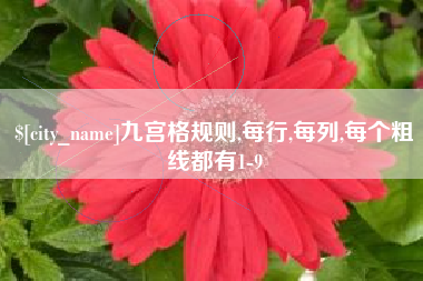 荆门九宫格规则,每行,每列,每个粗线都有1-9