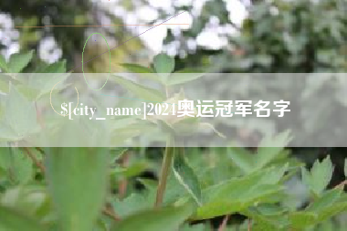 荆门2024奥运冠军名字