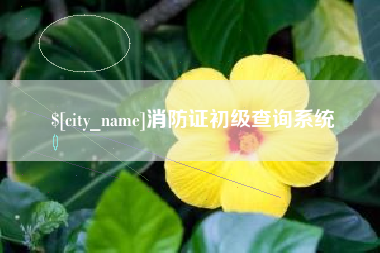 荆门消防证初级查询系统