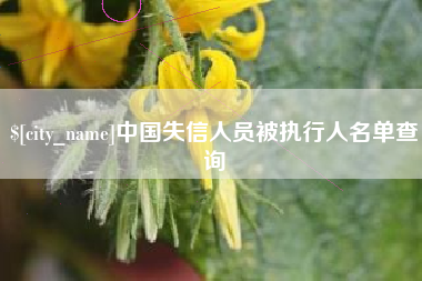 荆门中国失信人员被执行人名单查询