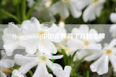 荆门中国金牌得了几枚金牌