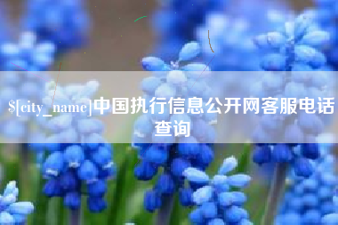荆门中国执行信息公开网客服电话查询