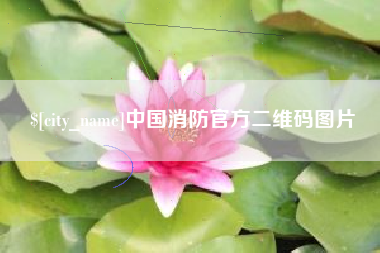 荆门中国消防官方二维码图片