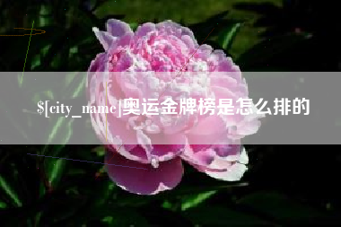 荆门奥运金牌榜是怎么排的