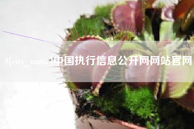 荆门中国执行信息公开网网站官网