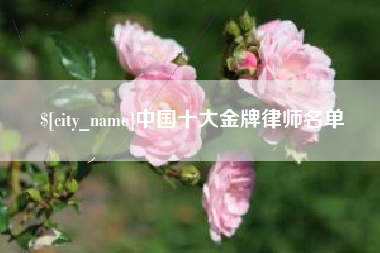 荆门中国十大金牌律师名单