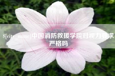 荆门中国消防救援学院对视力要求严格吗