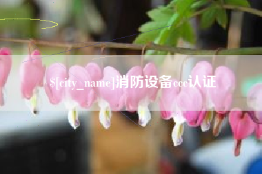 荆门消防设备ccc认证