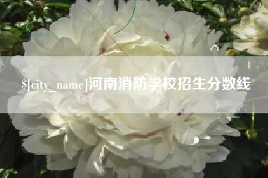 荆门河南消防学校招生分数线
