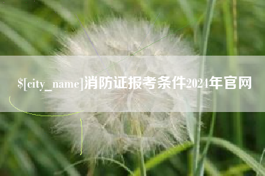 荆门消防证报考条件2024年官网