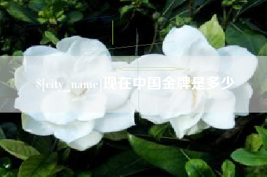 荆门现在中国金牌是多少