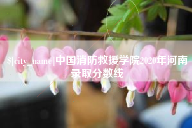 荆门中国消防救援学院2020年河南录取分数线