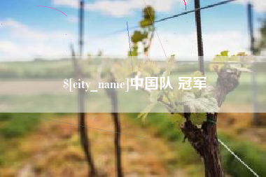 荆门中国队 冠军