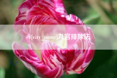 荆门九宫排除法