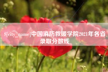 荆门中国消防救援学院2021年各省录取分数线