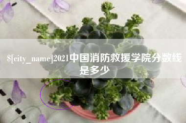 荆门2021中国消防救援学院分数线是多少