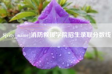 荆门消防救援学院招生录取分数线