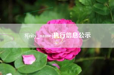 荆门执行信息公示