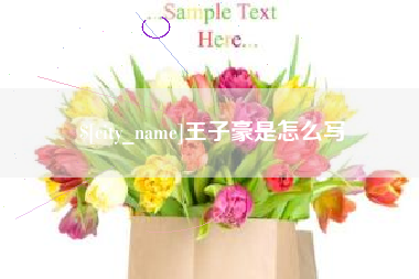 荆门王子豪是怎么写