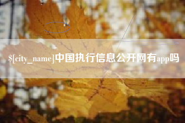 荆门中国执行信息公开网有app吗