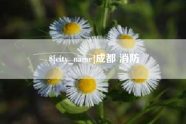 荆门成都 消防