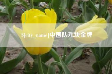 荆门中国队九块金牌