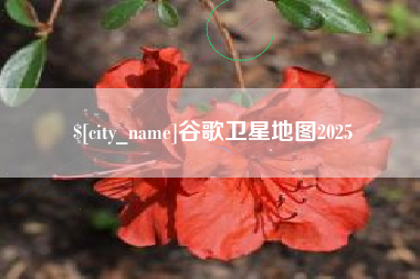 荆门谷歌卫星地图2025