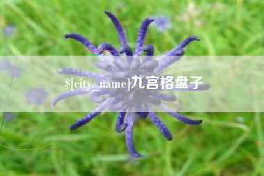 荆门九宫格盘子