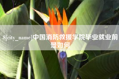 荆门中国消防救援学院毕业就业前景如何