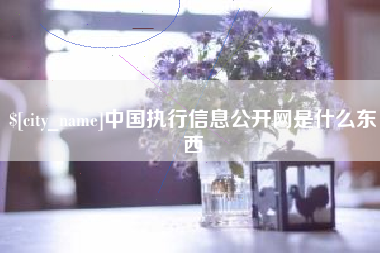 荆门中国执行信息公开网是什么东西