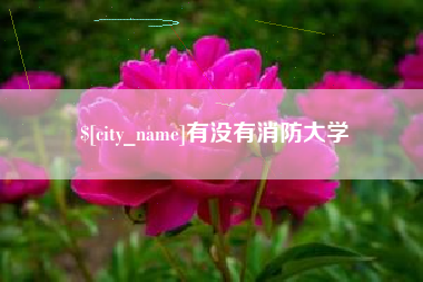 荆门有没有消防大学