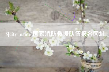 荆门国家消防救援队伍报名网址