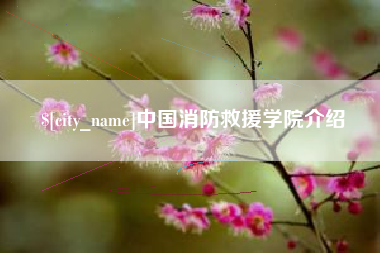荆门中国消防救援学院介绍