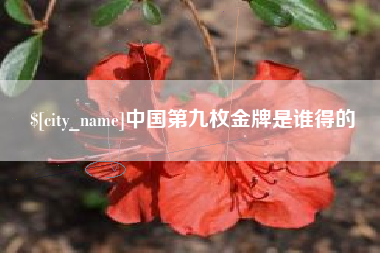 荆门中国第九枚金牌是谁得的
