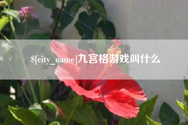 荆门九宫格游戏叫什么