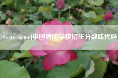荆门中国消防学校招生分数线代码