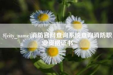 荆门消防官网查询系统查询消防职业资格证书