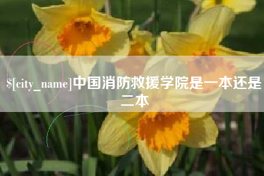 荆门中国消防救援学院是一本还是二本