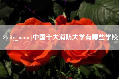 荆门中国十大消防大学有哪些学校