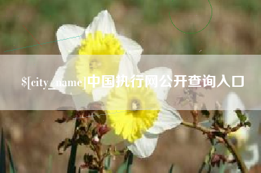 荆门中国执行网公开查询入口