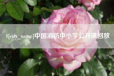 荆门中国消防中小学公开课回放