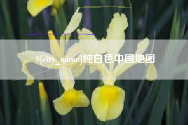 荆门纯白色中国地图