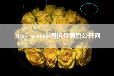 荆门中国执行信息公开网