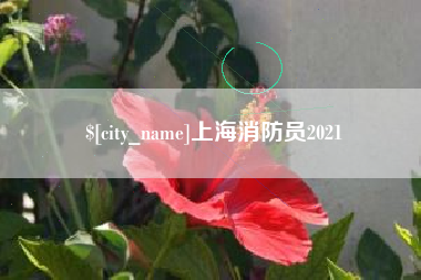 荆门上海消防员2021