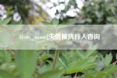 荆门失信被执行人杳询